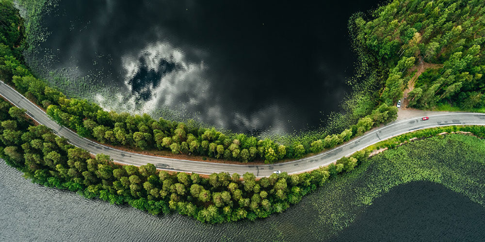 landscape forest and water