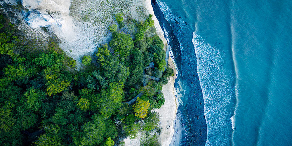 Landscape trees and water